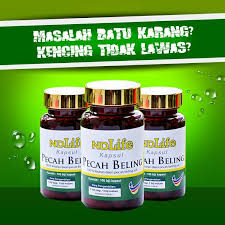 Tanaman pecah beling dengan istilah latinnya strobilanthes crispus lebih dikenal dengan sebutan keji beling. Ndlife Store Khasiat Kapsul Pecah Beling Merawat Facebook