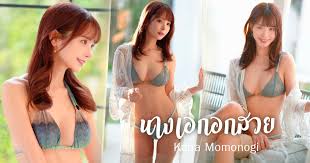 โมโมโนงิ คานะ อีกหนึ่งนางเอก AV สุดฮอต ที่มีหน้าอกสวยโดนใจ