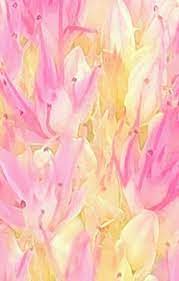 Aesthetic wallpapers yellow and pink : Pink And Yellow Summer Pink Flowers Photography Pink Flowers Light Pink Flowers