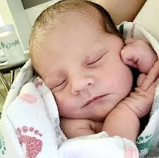 Kayden Vuylsteke, infant, Fenton