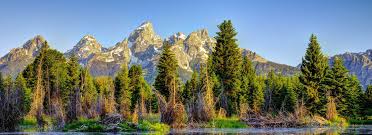 Alaska has an arctic tundra climate, while hawaii and south florida have a tropical climate. Wyoming Drought Gov