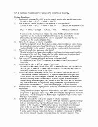 Cellular respiration overview pogil answer key. Cellular Respiration Worksheet Answer Key Awesome 15 Best Of Chapter 9 Cellular Respiration Worksheet Biology Worksheet Cellular Respiration Biochemistry Notes