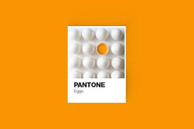 Pantone Color Cards Mockup Pantone Color Pantone Colour Palettes Pantone