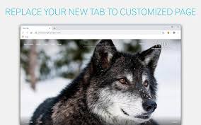 We present you our collection of desktop wallpaper theme: Wolf Wallpaper Wolves New Tab Freeaddon Com Chrome Web Store