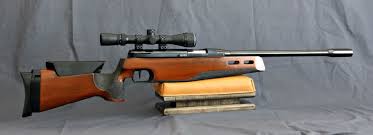Pin On Air Gun