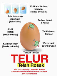 Namun, sebagai seorang muslim kita harus senantiasa mengimani. Tanda Tanda Telur Rosak Yang Anda Patut Tahu Bubblynotes Malaysia Parenting Lifestyle Blog
