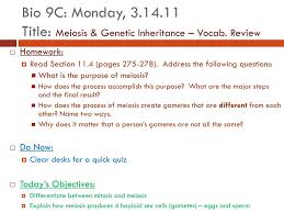 By the way, about chapter 11.4 meiosis worksheet answers, we have collected particular related photos to complete your references. Ppt Lilliana Powerpoint Presentation Free Download Id 2284175