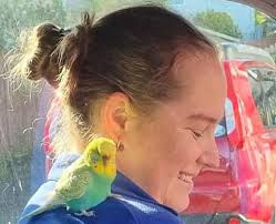 Let's welcome our new members! Peter Dong, Corina Douglas, Annabelle Klap,  Nela Siulua, Myfi Jeane Treanor, Ree Malele, Ataría Kingi, John Dawn,  Shifra Arthur-Ellis, David William's Parrot Farm, Manu Joseph, Amelia  Hillson,