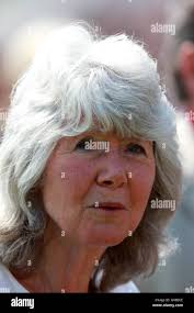 Jilly cooper horse hi-res stock photography and images