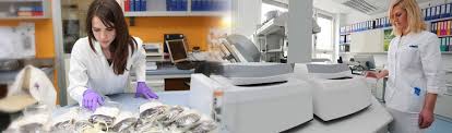 Phlebotomy is a practical profession and you will do most of the learning in a professional environment during your remember, you have your job as long as you are accurate. What Is A Phlebotomy Technician What Does A Phlebotomist Do