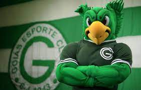This page contains an complete overview of all already played and fixtured season games and the season tally of the club goiás ec in the season overall statistics of current season. Goias Esporte Clube Tem Oito Infectados Por Covid 19 Via Podergoias