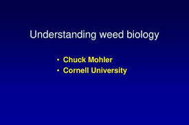 Get great deals on ebay! Using Weed Ecology For Management Chuck Mohler Cornell University Ppt Download
