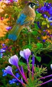 Beautiful Picture Of Bird And Flowers Beautiful Birds Wild Birds Pretty Birds