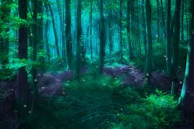 Browse through our extensive range of forest fantasy animation at pandagif. Fantasy Forest Wallpapers Top Free Fantasy Forest Backgrounds Wallpaperaccess