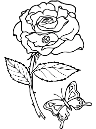 15+ gambar sketsa wajah, pemandangan, bunga (lengkap). 31 Ide Sketsa Kupu Kupu Hinggap Di Bunga Terbaru Paperbola