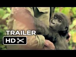 We did not find results for: Download Virunga 3gp Mp4 Codedwap