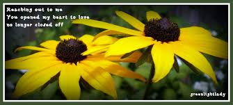 We did not find results for: Flower Nature Photo Poems