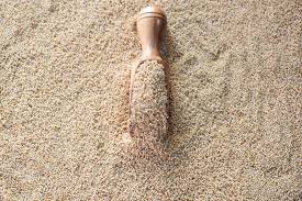 Image result for Echinochloa frumentacea