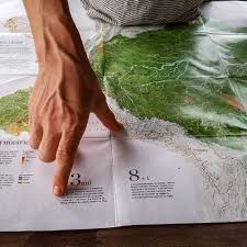 Escalação, fotos, vídeos e lances da partida. Tiere Des Amazonas Animals Around The Globe