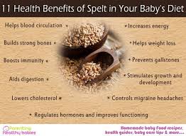 11 Health Benefits Of Spelt In Your Baby S Diet Health And Nutrition Baby Diet Health Diet