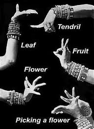 Hand Gestures Indicates The Meaning Of Various Things Tribal Dance Indian Dance Dance