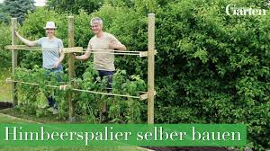 Bauanleitung Himbeerspalier Bauen Garten Diy Gartenprojekte Himbeeren