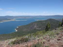 Eagle lake trout, oncorhynchus mykiss aquilarum, is a subspecies of rainbow trout endemic to eagle lake, in lassen county, california. Diy Guide To Fly Fishing Eagle Lake In California Diy Fly Fishing