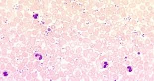 Pin On Learning Heme