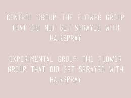 Check spelling or type a new query. Flower Science Experiment By Emma Delghiaccio