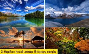 First, you must consider your surroundings and the world you read more if you are looking for a good lens and camera for landscape photography that will be for example, you want to take a photo of a squirrel in a tree. 25 Magnificent Landscape Photography Examples And Composition Tips