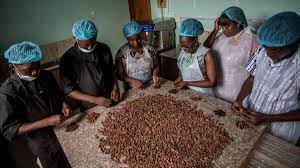 Hauptproduzenten von kakao sind die elfenbeinküste, ghana, malaysia und brasilien. Elfenbeinkuste Und Ghana Eine Opec Fur Kakao Wirtschaft Sz De