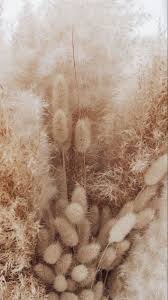 Iphone wallpaper tumblr aesthetic vintage #wallpaper #phone #iphone #samsung image about aesthetic in background by kotova #vintagewallpaper kotova. Pin By Melissahartmann On Wallpaper Beige Aesthetic Aesthetic Wallpapers Wallpapers Vintage