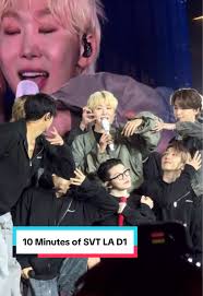 Reviving Memories: SEVENTEEN Concert Experience