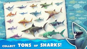 Hungry shark evolution apk (mod, monedas infinitas): Hungry Shark World V 3 1 2 Apk Hack Mod Money Apk Pro