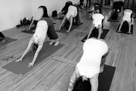 6 local business owners recommend prema yoga. Mobile Yoga Corporate Office Yoga Online Yoga Los Angeles