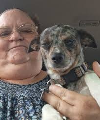 New to this group. I have a male GSD who is my ESA.