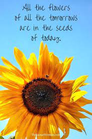 Pin On Life S Quotes