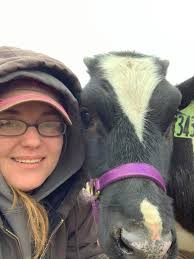 Birthday gift of a cow named Daisy