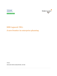 ibm cognos tm1 whitepaper data