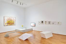 Bildergebnis für Nils Norman