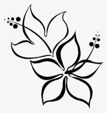 All right reserved about each tutorial by the creator member. Flower Drawing Png Images Free Transparent Flower Drawing Download Kindpng
