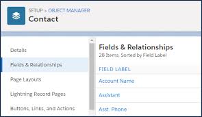 How To Add A Salesforce Org Chart Using Custom Fields