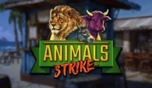 Animals Strike Slot Review & Demo | Play With High RTP