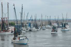 Image result for Omaha Orange 2012 Fleet