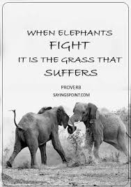 They say an elephant never forgets. Elephant Quotes Elephant Quotes Best Motivational Quotes Beautiful Quotes