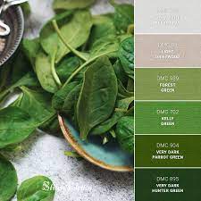 Here are some green color combinations that will work with a variety of decor styles and preferences. Spinach Greens Embroidery Color Palette With Thread Codes