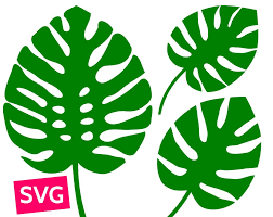 Pin On Tropical Svg Files Tropical Leaves Flowers Animals Clipart