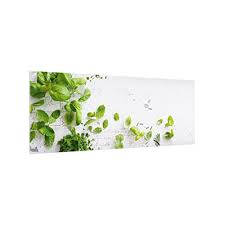 Empfehlungen für küchen und großgeräte. Bilderwelten Spritzschutz Glas Krauter Und Bluten 40 X 60 Cm Wandscheibe Herdblende Elektro Grossgerate Backofen Herdzubehor Elektro Grossgerate Zubehor