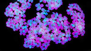 Every purchase you make puts money in an artist's pocket. Neon Pink Purple Glow Flower Aesthetic Flower Aesthetic Glowing Flowers Flora Flowers