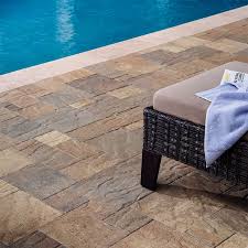 Image result for Pavetta comostyla